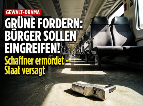 Schaffner-Mord: Grüne wollen Bürger zu Selbstjustiz animieren – während die Täter unbehelligt bleiben