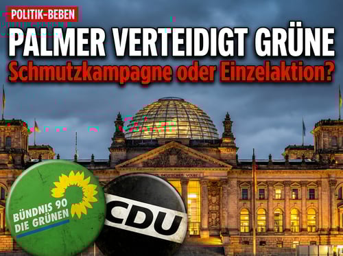 Schmutzkampagne oder Einzelaktion? Palmer nimmt Grüne nach „Rehbraune-Augen"-Affäre in Schutz