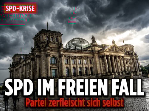 SPD im freien Fall: Partei zerfleischt sich nach Rheinland-Pfalz-Debakel selbst