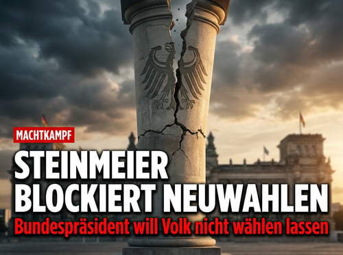 Steinmeier als Königsmacher: Wie der Bundespräsident den Bürgern das Wahlrecht verweigern könnte