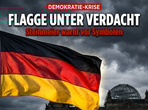 Steinmeier erklärt Deutschlandfahnen und „Wir sind das Volk" zur extremistischen Bedrohung