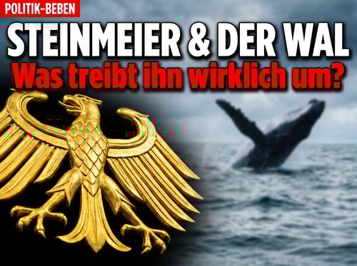 Steinmeier und der Wal: Wenn ein Bundespräsident nichts Besseres zu tun hat