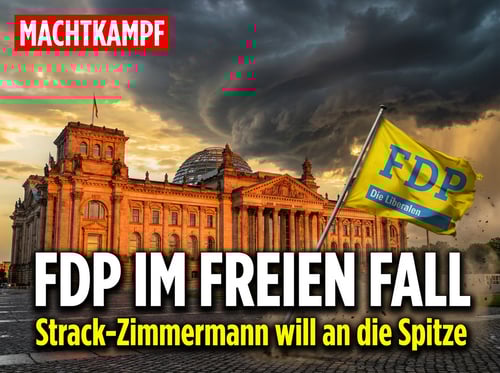 Strack-Zimmermann drängt an die FDP-Spitze – der nächste Akt einer politischen Tragikomödie