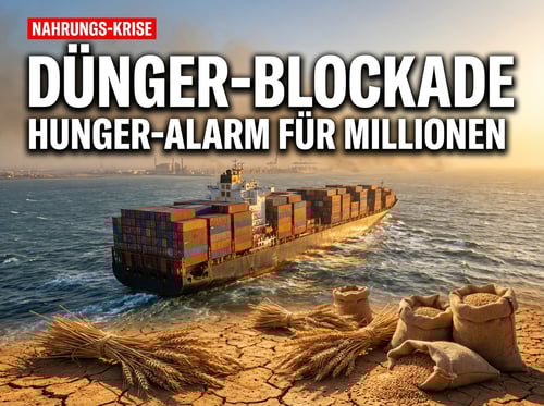 Straße von Hormus blockiert: Wie der Iran-Krieg eine globale Hungerkrise auslösen könnte