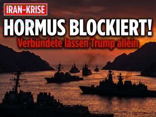 Straße von Hormus: Verbündete lassen Trump abblitzen – und Deutschland duckt sich wieder weg