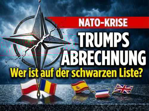 Trumps „Braven-und-Unartigen-Liste": Washington plant Abrechnung mit unbequemen NATO-Partnern