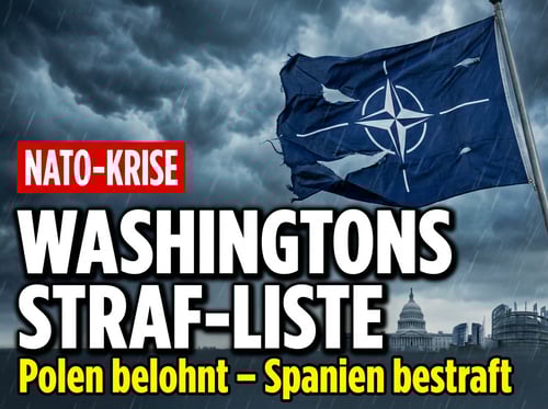 Trumps Nato-Pranger: Washington plant Denkzettel für aufmüpfige Verbündete