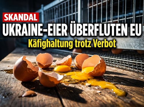 Ukrainische Käfigeier überfluten Europa: Ein Verrat am deutschen Verbraucher