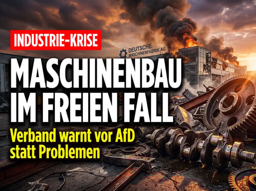 Verbandspräsident warnt vor AfD – während der Maschinenbau in Trümmern liegt