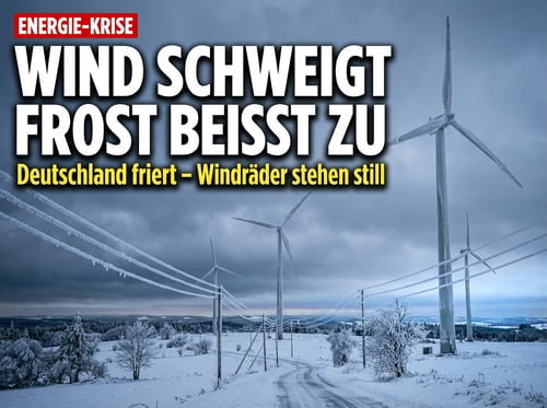 Wenn der Wind schweigt und der Frost zubeißt: Deutschlands Energiewende entlarvt sich selbst