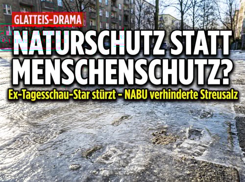 Wenn Naturschutz zur Gefahr wird: Ex-Tagesschau-Sprecher stürzt auf Berliner Eisgehweg