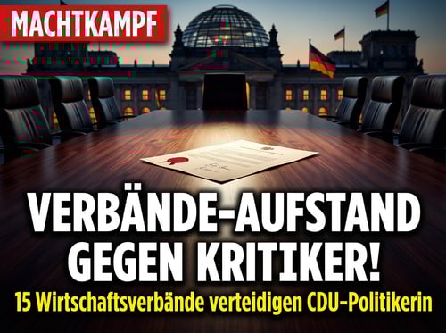 Wirtschaftsverbände verteidigen Connemann: Ein fragwürdiges Schauspiel der Solidarität