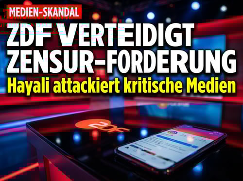ZDF-Moderatorin verteidigt Zensur-Befürworter: Hayali attackiert kritische Medien