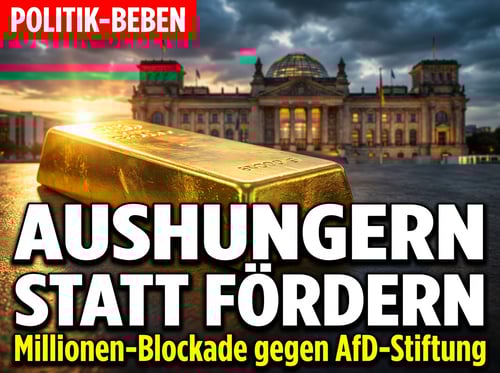 Zermürbungstaktik aus Berlin: Wie die Bundesregierung die AfD-nahe Stiftung systematisch aushungert