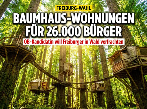 Zurück auf die Bäume: Freiburger OB-Kandidatin will Bürger in Baumhäuser verfrachten