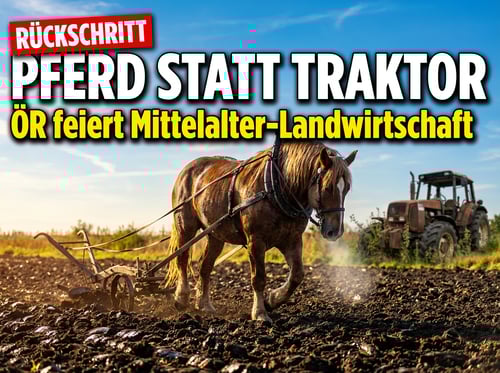 Zurück ins Mittelalter: Öffentlich-rechtlicher Sender feiert Ackergäule als Zukunft der Landwirtschaft
