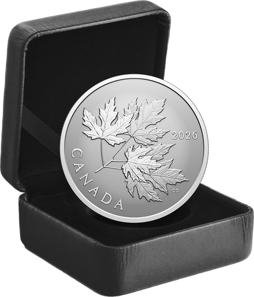 1/2 Unze Silber Gleaming Maple Leaves 2026 (Auflage: 25.000 | Reverse Proof)