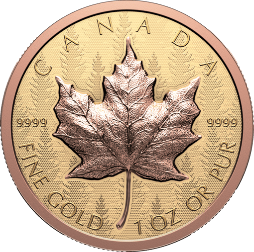 1 Unze Gold Maple Leaf 2025 (Auflage: 550 | High Relief | Reverse Proof)