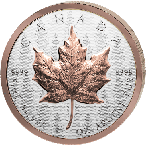 1 Unze Silber Maple Leaf 2025 (Auflage: 8.500 | High Relief | teilvergoldet | Reverse Proof)