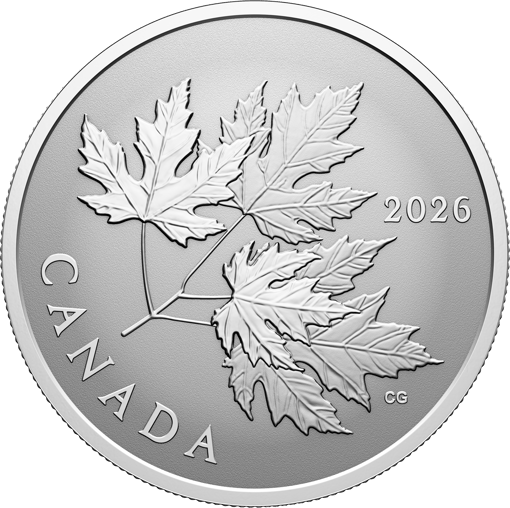 1/2 Unze Silber Gleaming Maple Leaves 2026 (Auflage: 25.000 | Reverse Proof)