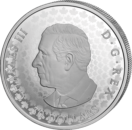 2 Unze Silber Maple Leaf 2026 (Auflage: 1.850 | teilvergoldet | Diamant | Polierte Platte)