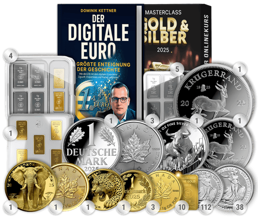 Webinar Paket L