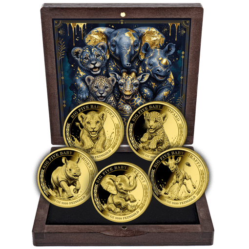 Gold African Big Five Baby Set 2026 (Auflage: 250 | Polierte Platte)