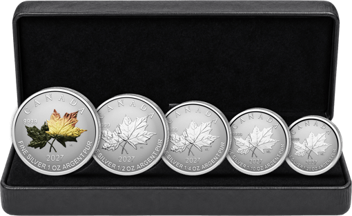 5 Münzen Silber Maple Leaf Fractional Set 2027 (Streng limitiert | Reverse Proof)