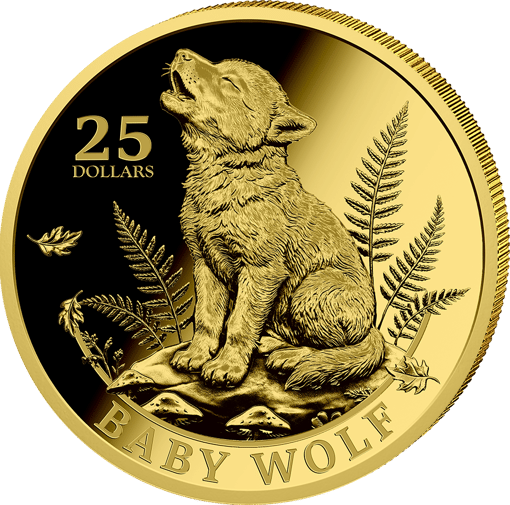 1/200 Unze Gold Baby Wolf 2026 (Auflage: 500 | Polierte Platte)