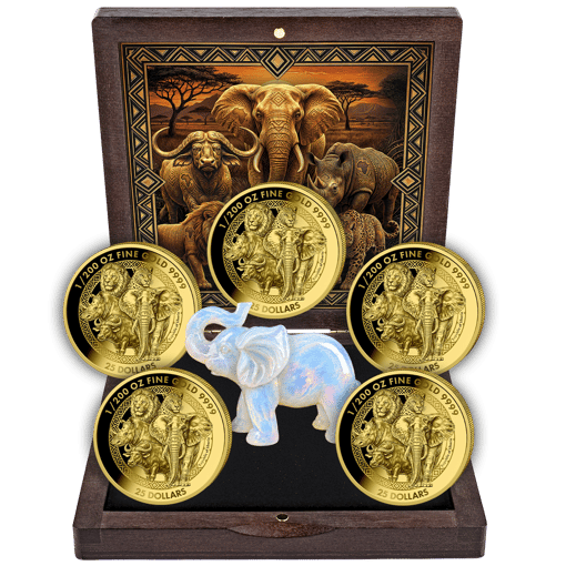 African Big Five – 5er Goldset 2026 (Auflage: 200 | Polierte Platte)