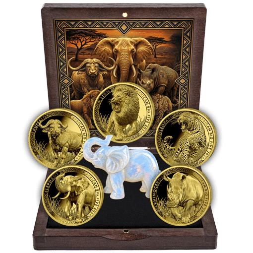 African Big Five – 5er Goldset 2026 (Auflage: 200 | Polierte Platte)