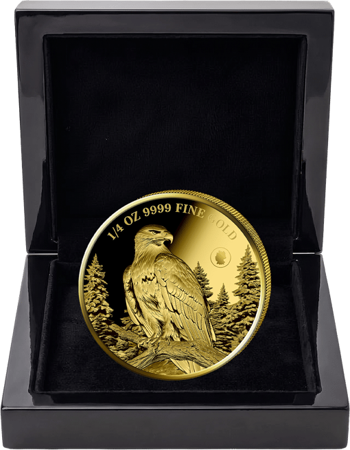 1/4 Unze Gold Steinadler Deutschland Edition 2026 (Auflage: 25 | Privy Mark | Polierte Platte)