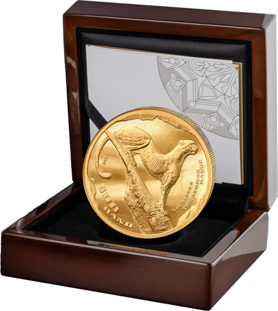 5 Unze Gold African Range Gepard 2026 | High Relief PP
