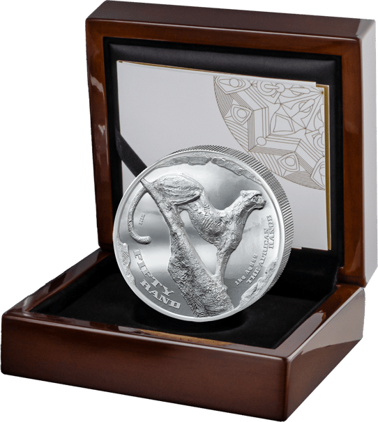 1 kg Silber African Range Gepard 2026 | High Relief PP