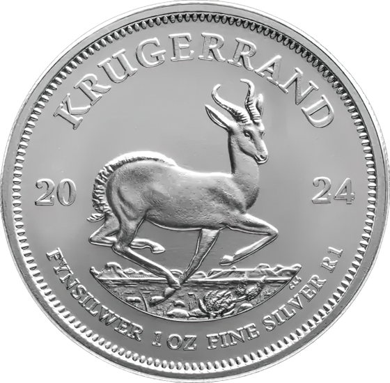 Seite mit dem Springbock im Sprung, darüber KRUGERRAND und links und rechts die Jahreszahl 2024