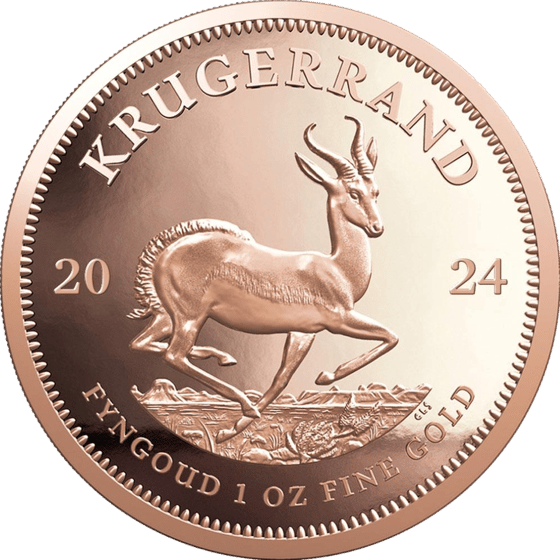 Seite mit dem Springbock im Sprung, darüber KRUGERRAND und links und rechts die Jahreszahl 2024