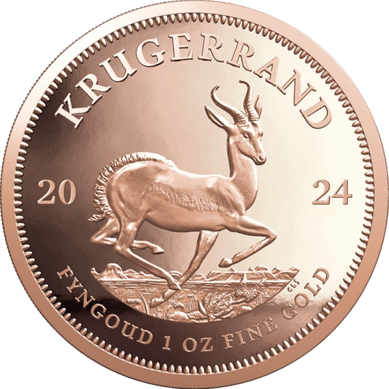 Seite mit dem Springbock im Sprung, darüber KRUGERRAND und links und rechts die Jahreszahl 2024
