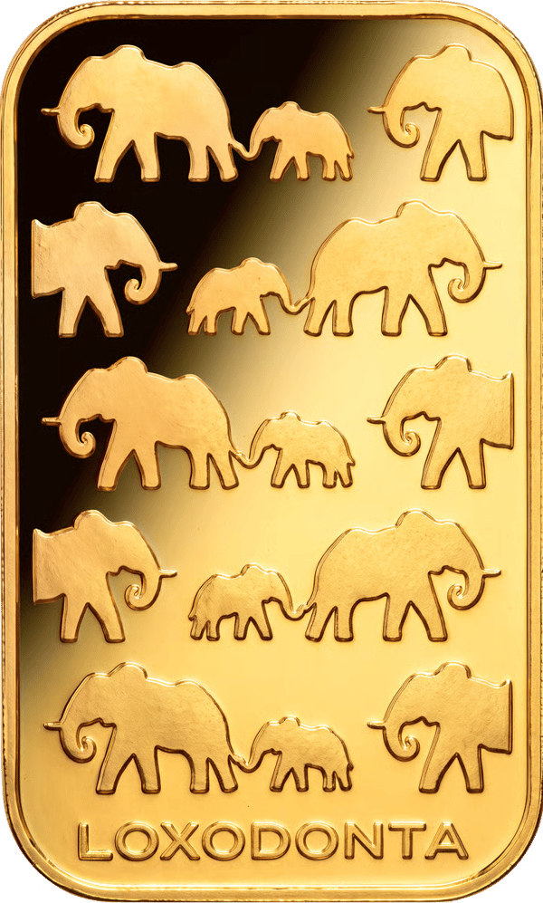 Loxodonta, 10 g