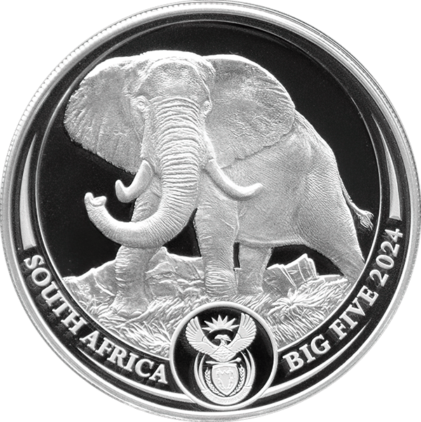 Big Five III in Silber, 2024: Elefant in ganzer Gestalt