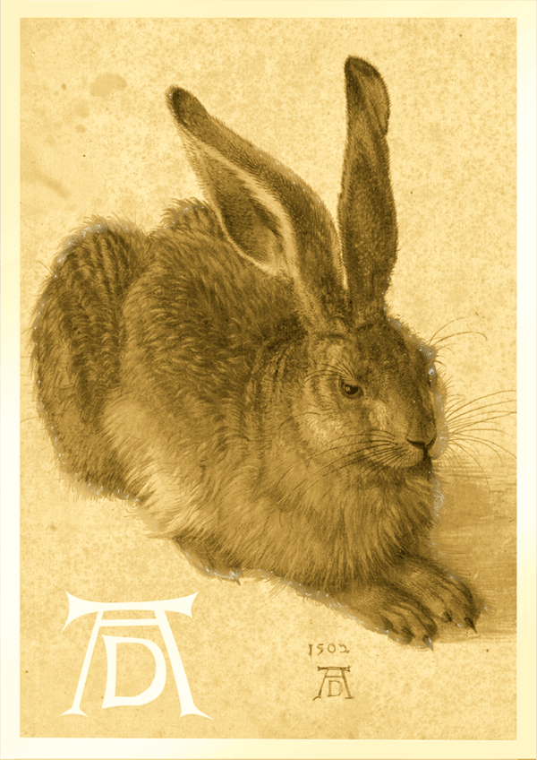 Young Hare