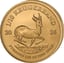 1/10 Unze Gold Krügerrand 2026