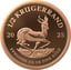 1/2 Unze Gold Krügerrand 2025 PP (Auflage: 500 | Polierte Platte)