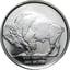 1/10 Unze Silber Buffalo