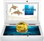 1 Unze Gold Ocean Five Orca 2024 PP (Auflage: 100 | Polierte Platte)