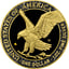 1 Unze Silber American Eagle Gold Nugget Iced Out 2025 (Auflage: 50 | teilvergoldet)