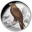 1 Unze Silber Keilschwanzadler 2025 (Auflage: 750 | Privy Mark | Polierte Platte)
