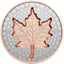 1 Unze Silber Maple Leaf Super Incuse 2022 (Auflage: 7.000 | teilvergoldet | Reverse Proof)