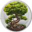 1 Unze Silber Yggdrasil Sommer 2025 (Auflage: 400)