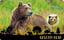 Gold Grizzly Bär Münze