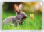 1g Goldbarren "Frohe Ostern" (Valcambi)